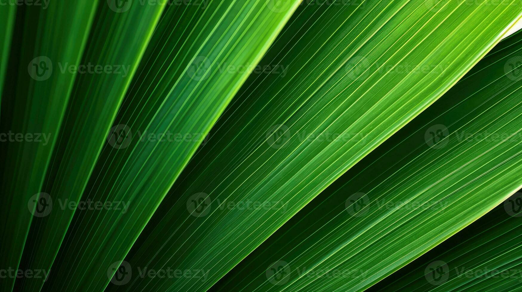 planta hoja macro antecedentes textura ai generado foto