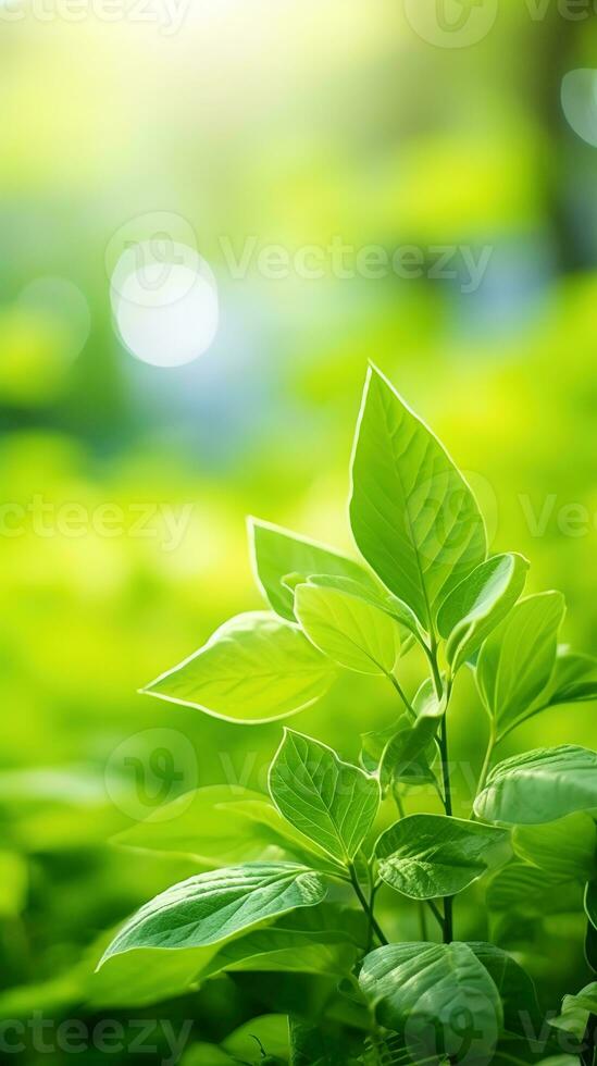Close up of green leaf in a garden at summer under sunlight with blurred background. Generative AI photo