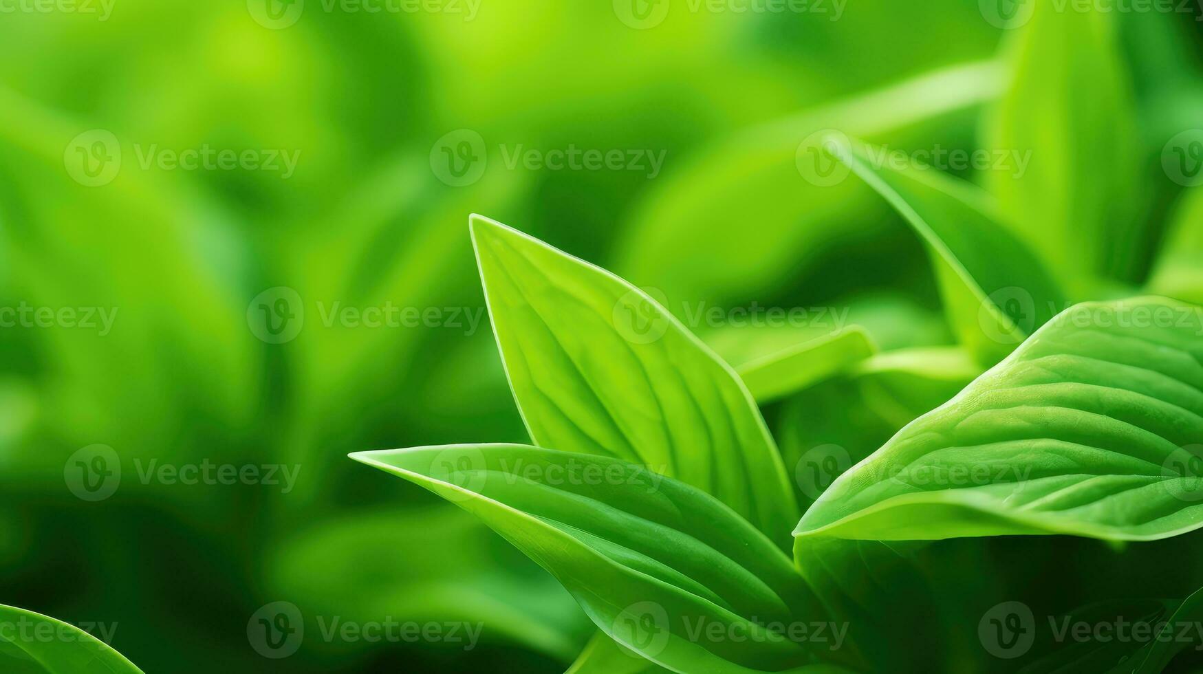 closeup green macro background macro ai generated photo