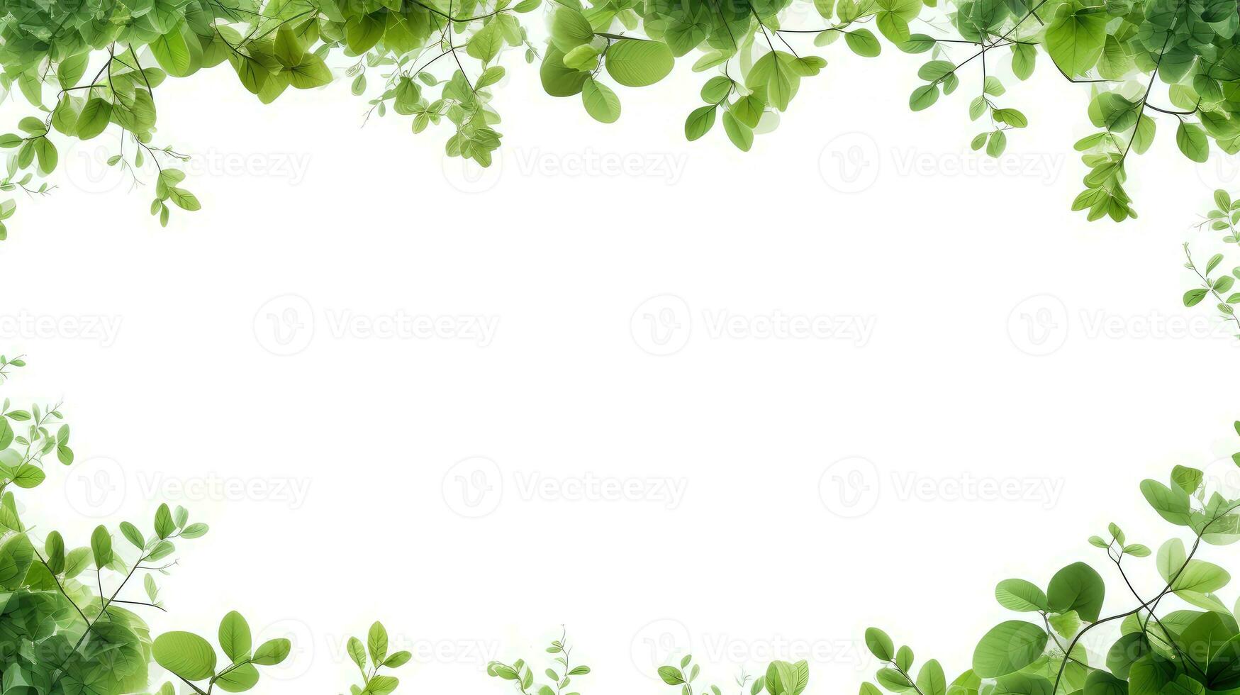 plant frame tree floral top view ai generated photo