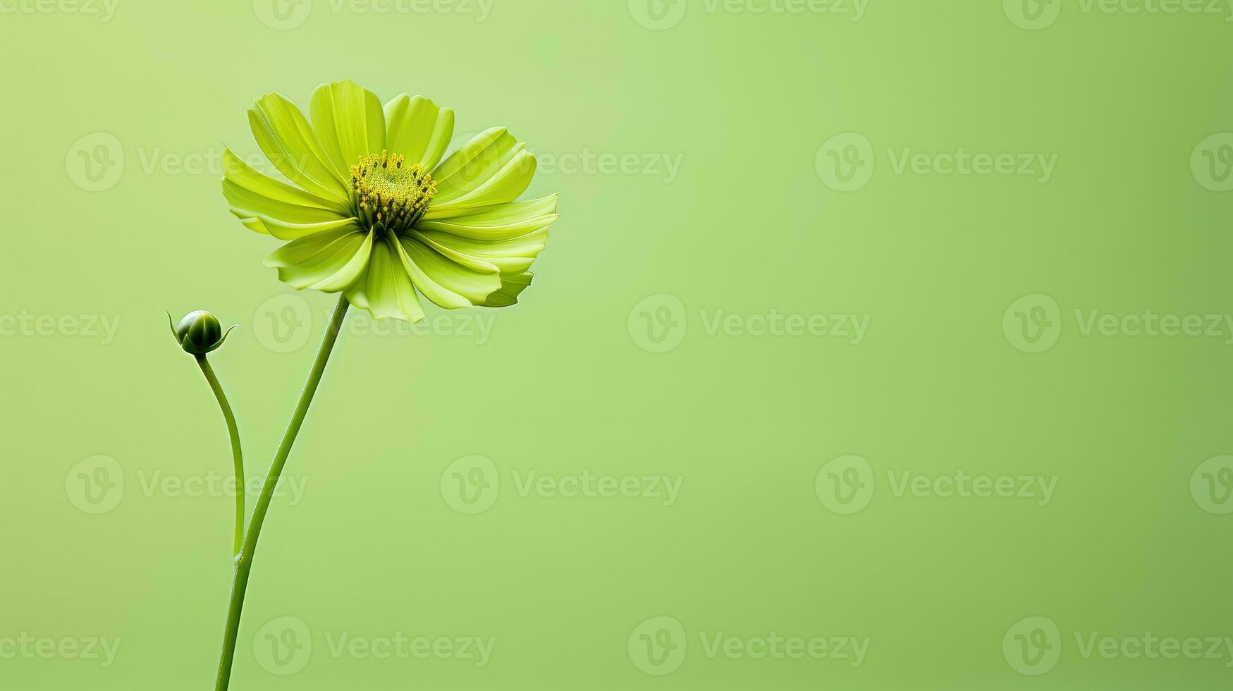 beautiful green flower background minimalist ai generated photo