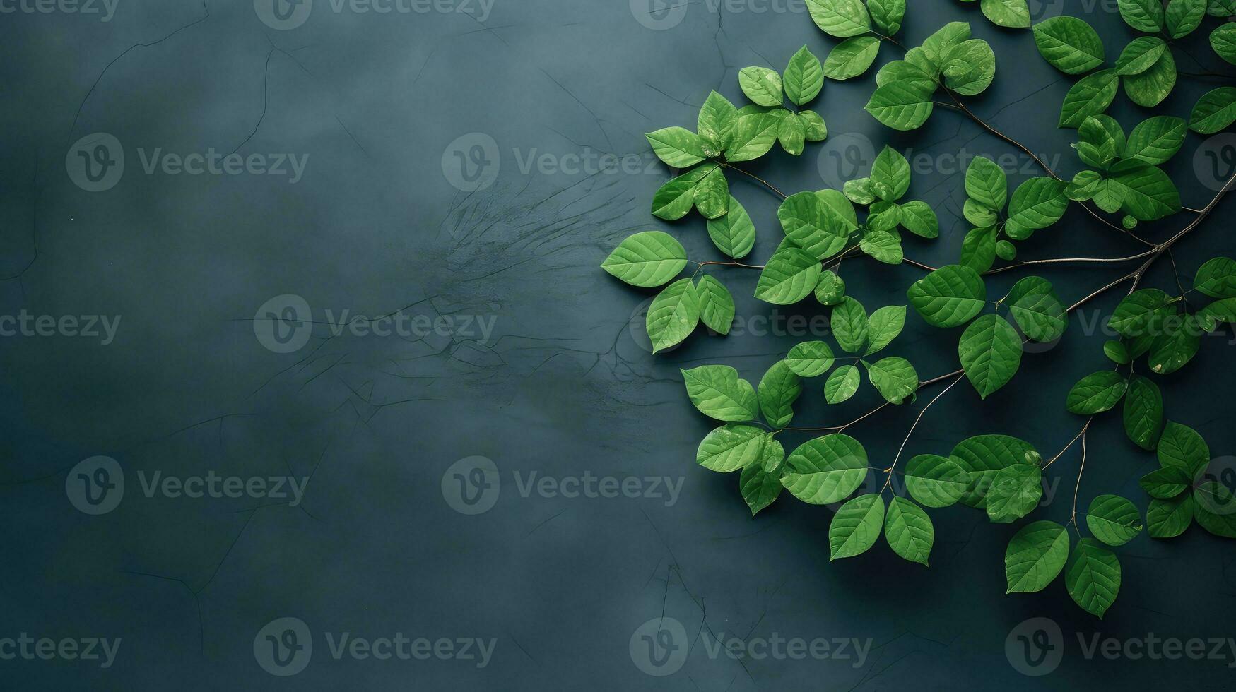 background concept tree leaf top view ai generated photo