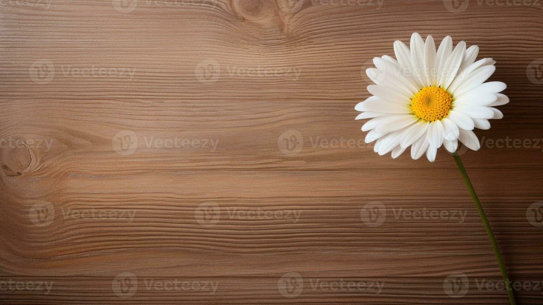 Daisy Flower on Wood Background with Copy Space, AI Generative photo