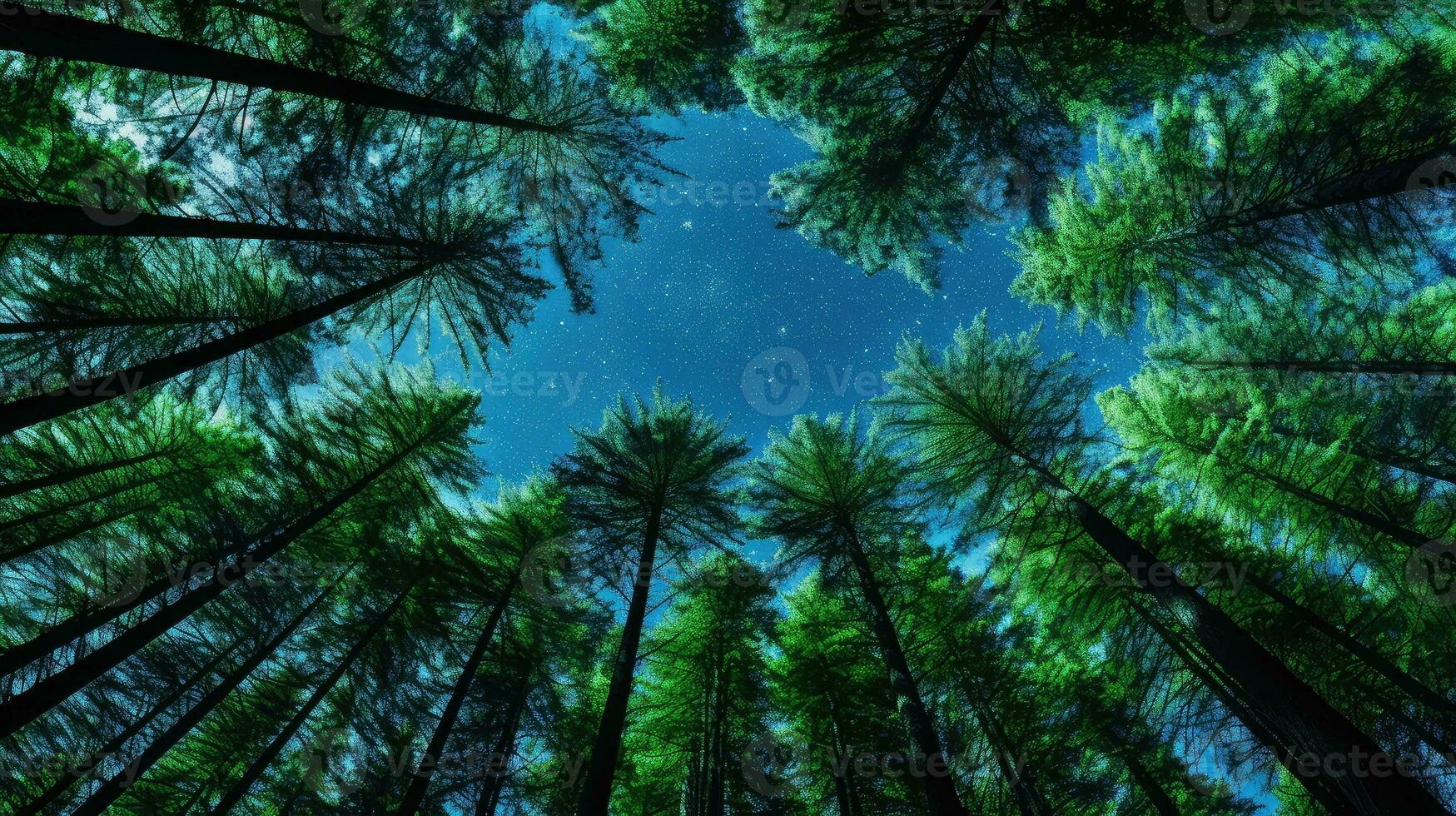 evergreen blue view forest landscape ai generated photo