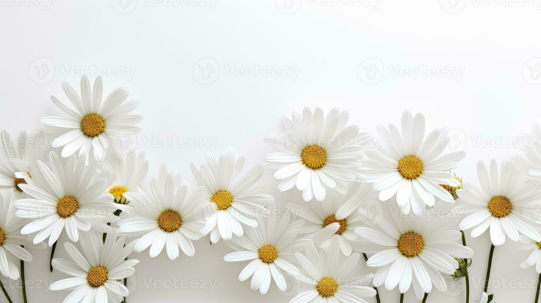 decoration white flower background minimalist ai generated photo