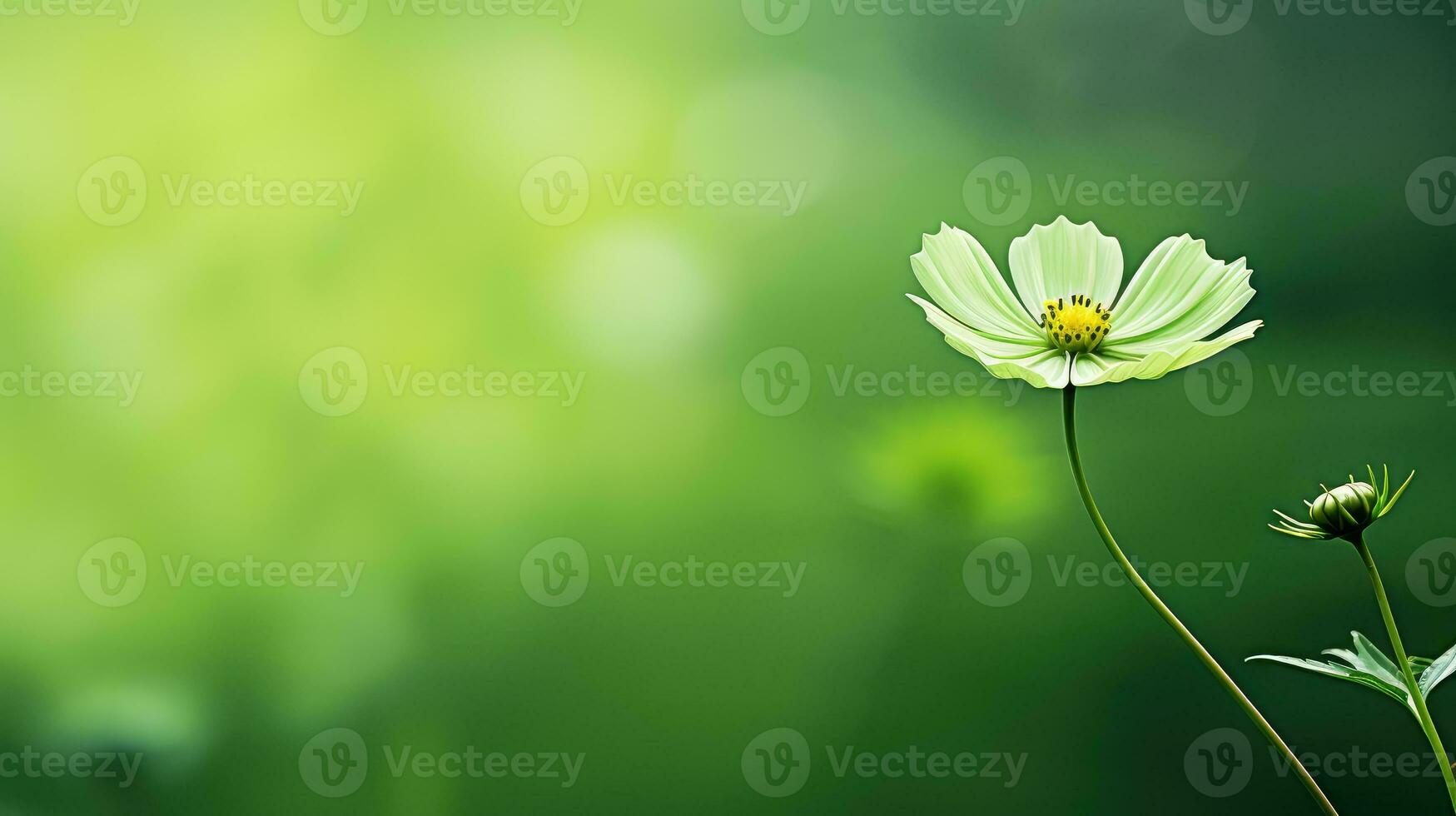 beautiful green flower background minimalist ai generated photo