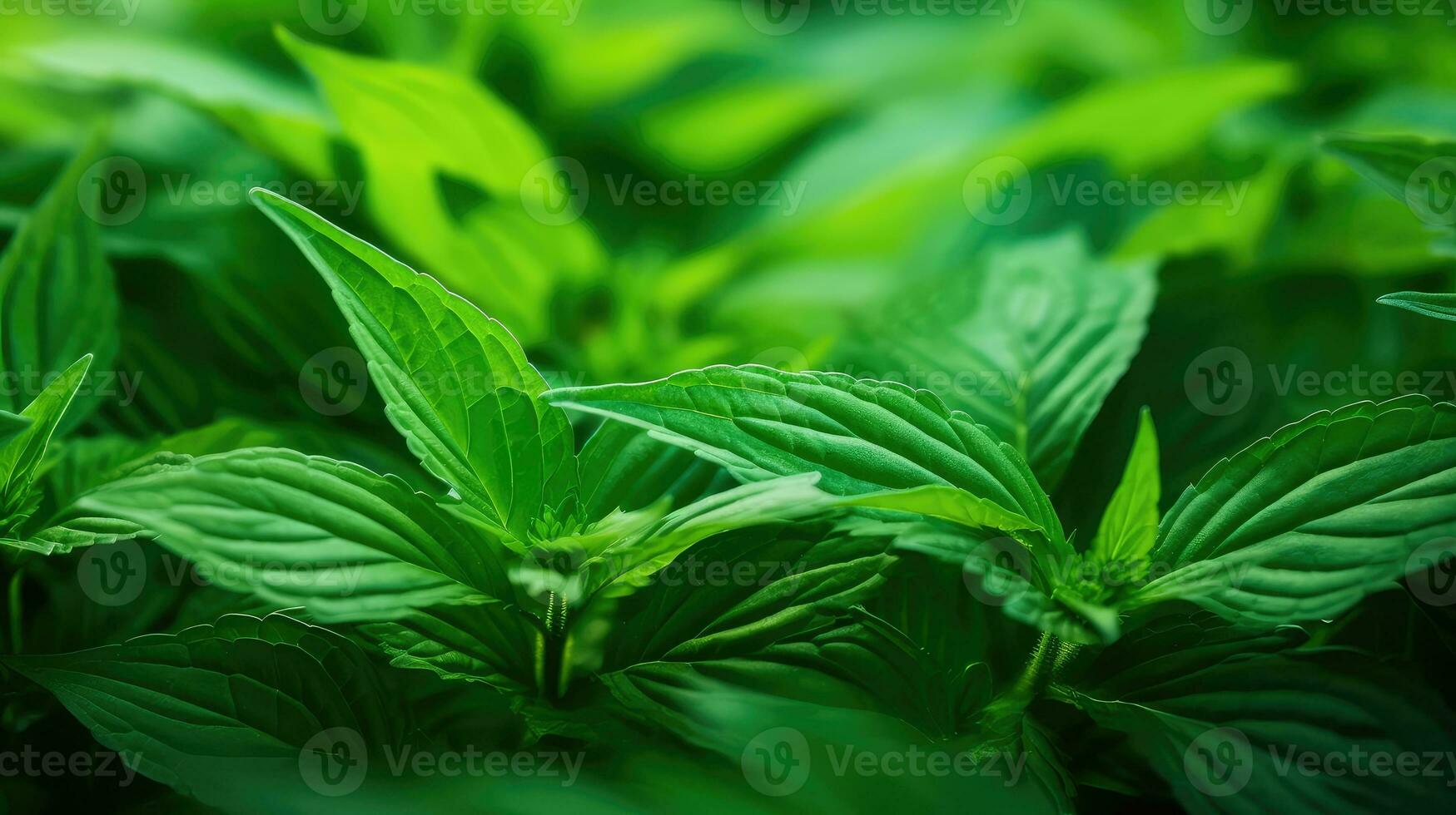 tree fresh macro background vibrant ai generated photo