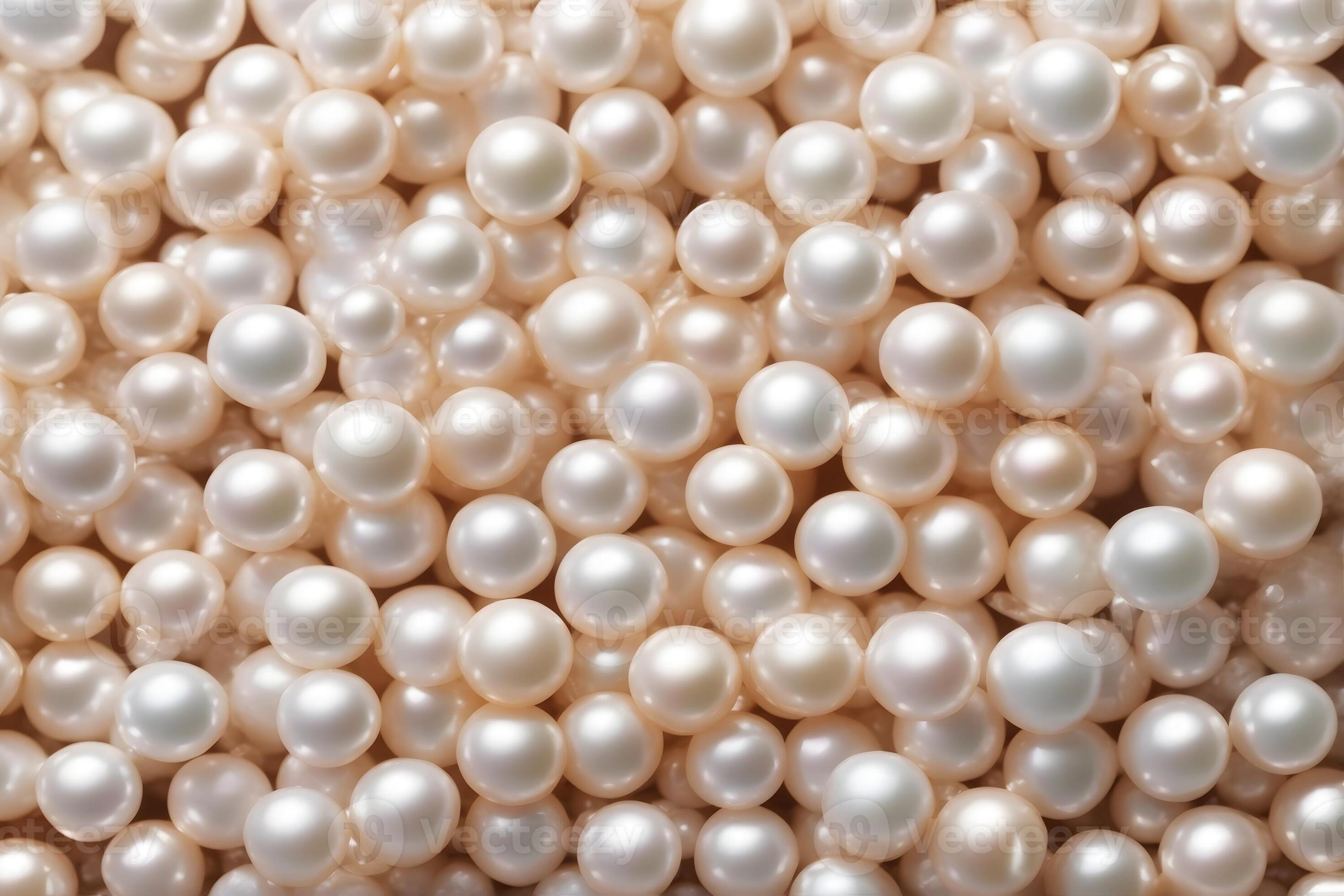 Pearl and Seashell Background, Pearl Background, Seashell Background