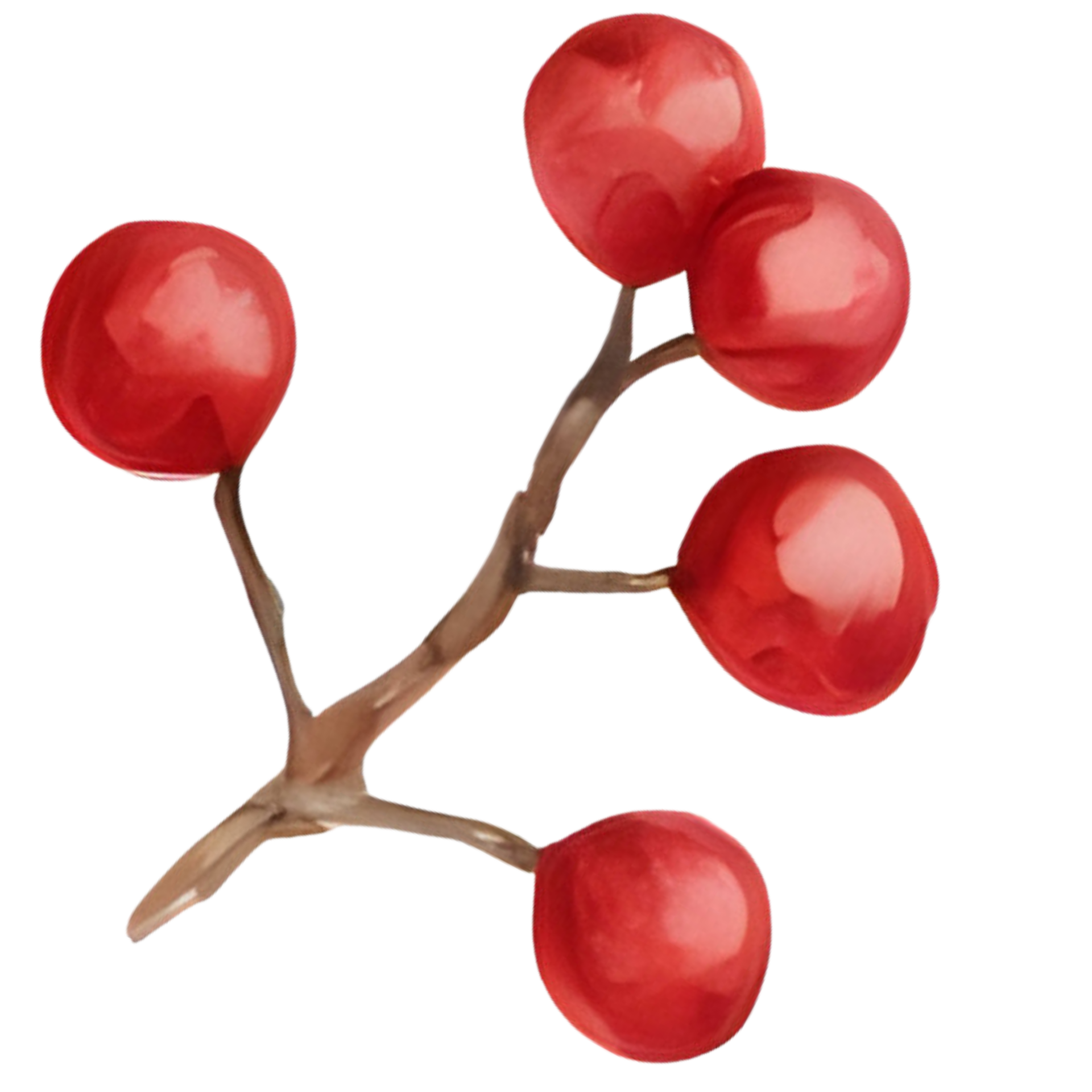 Berry, Christmas item. Generative AI 33353691 PNG