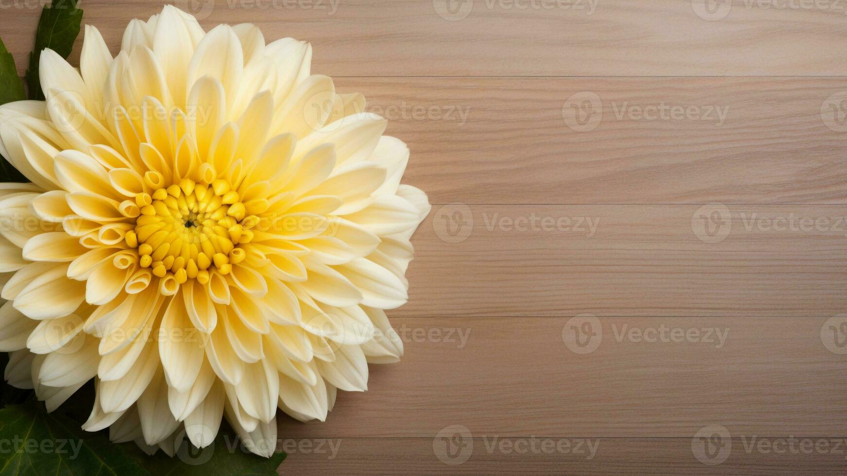 Chrysanthemum Flower on Wood Background with Copy Space, AI Generative photo