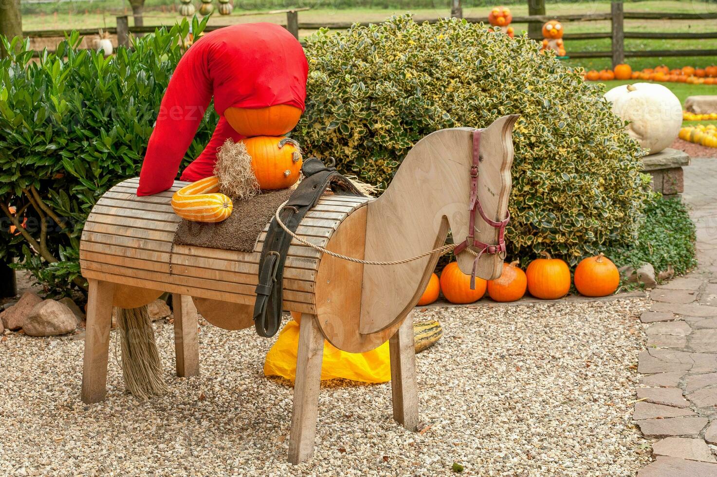 pumpkins in germany photo
