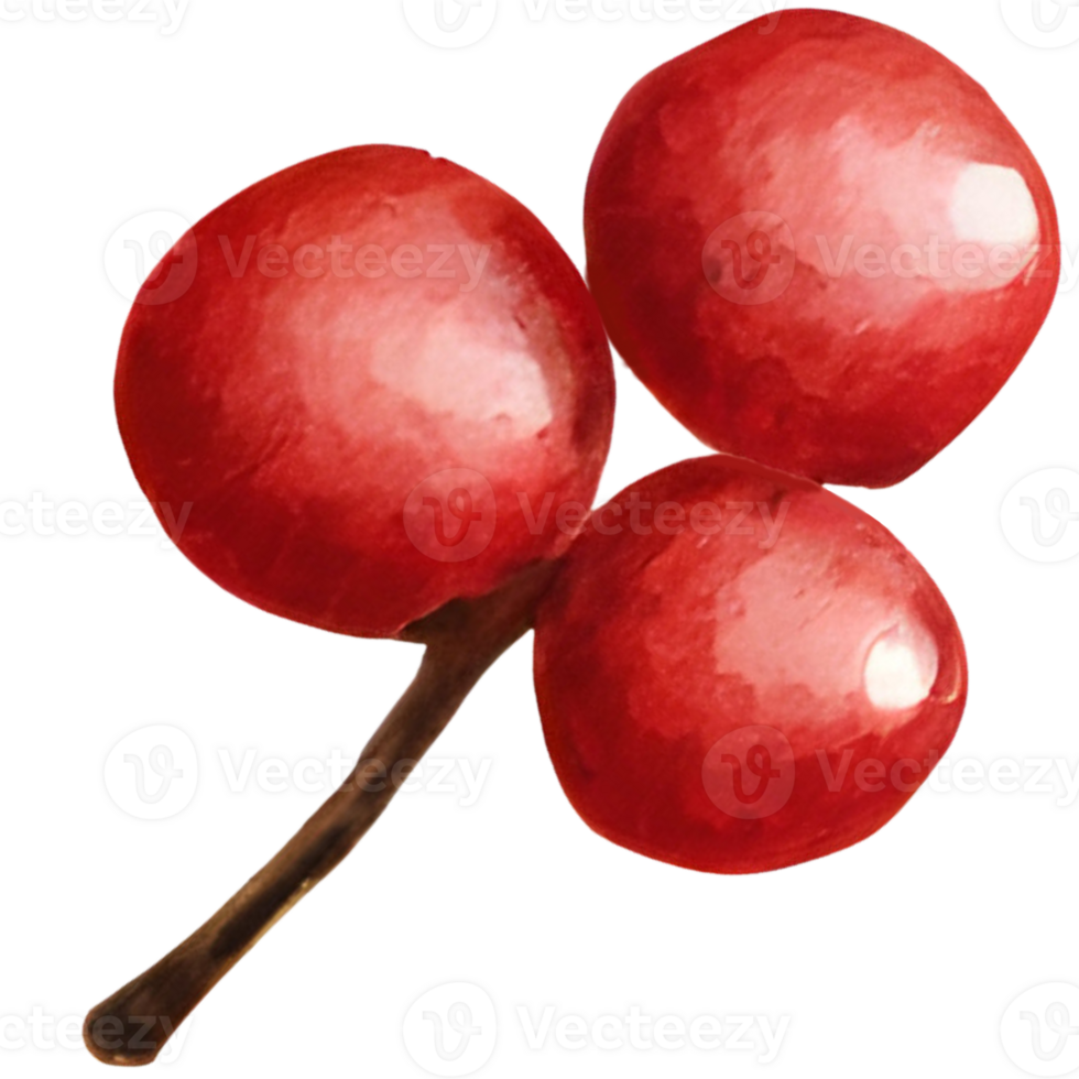 Berry, Christmas item. Generative AI png