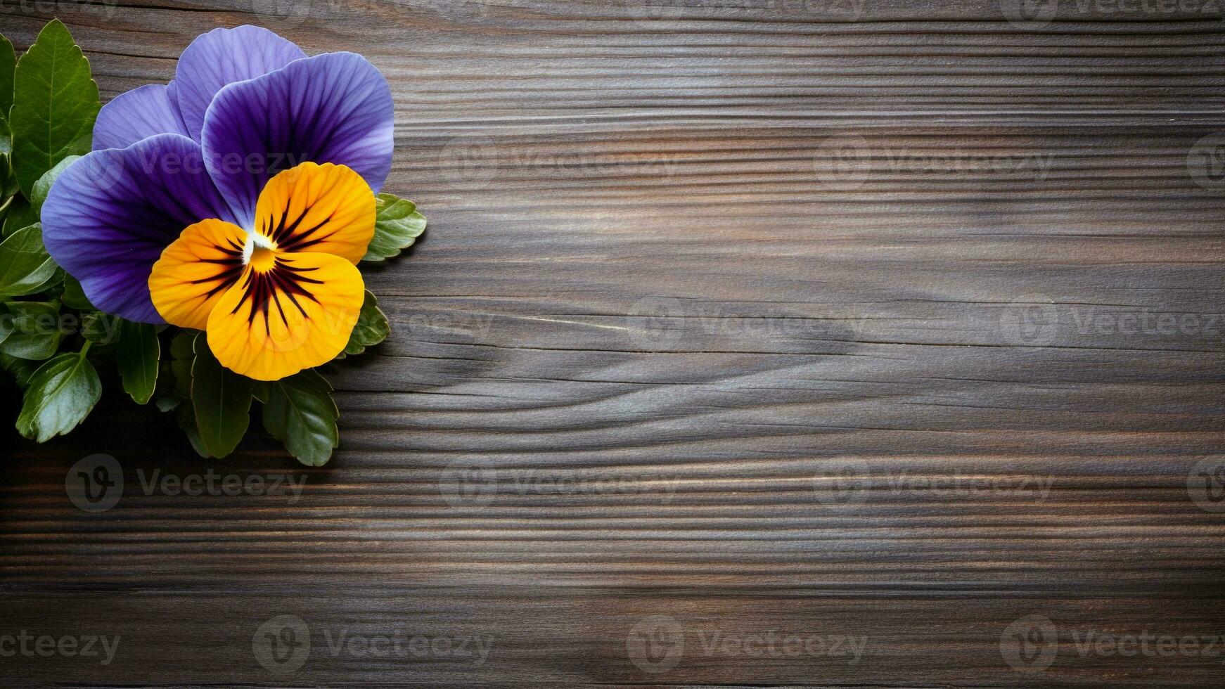 Pansy Flower on a Wood Background with Copy Space, AI Generative photo