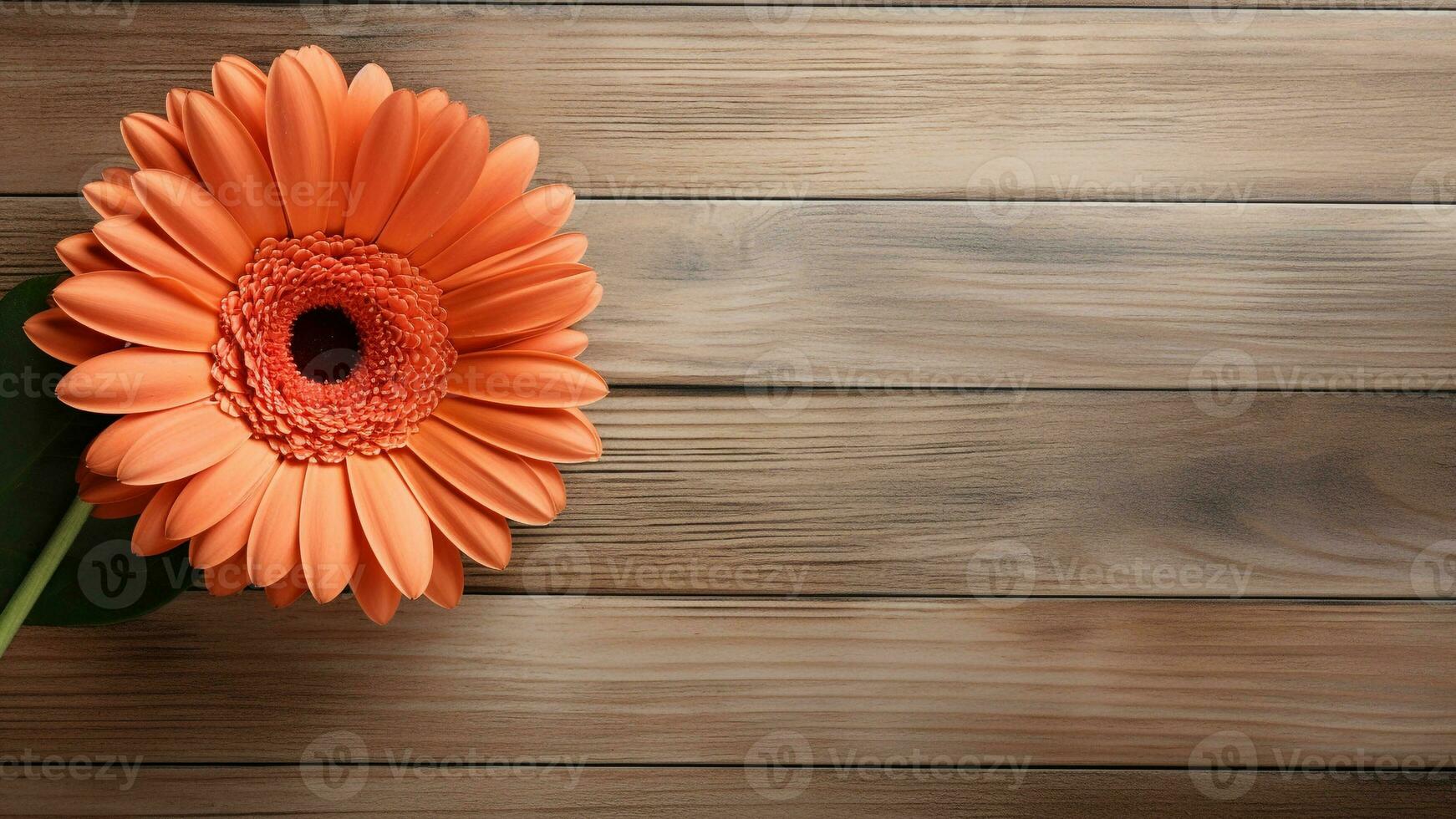 Gerbera Daisy Flower on Wood Background with Copy Space, AI Generative photo