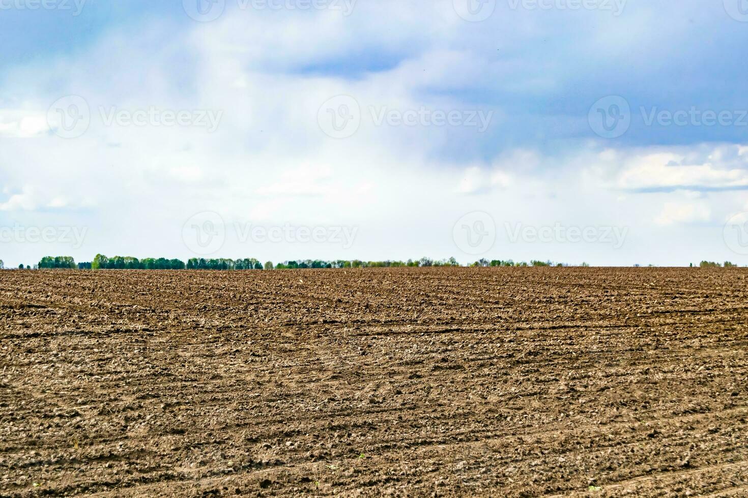 fotografía sobre el tema gran campo agrícola vacío para la cosecha orgánica foto