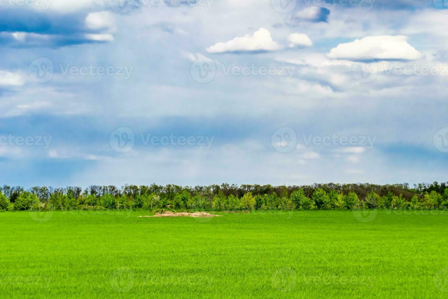 Beautiful horizon scenery in village meadow on color natural background photo