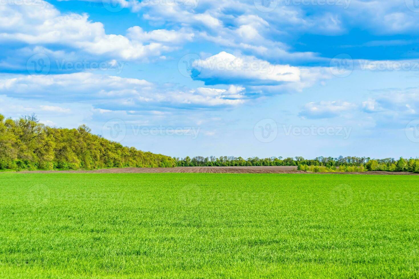 Beautiful horizon scenery in village meadow on color natural background photo