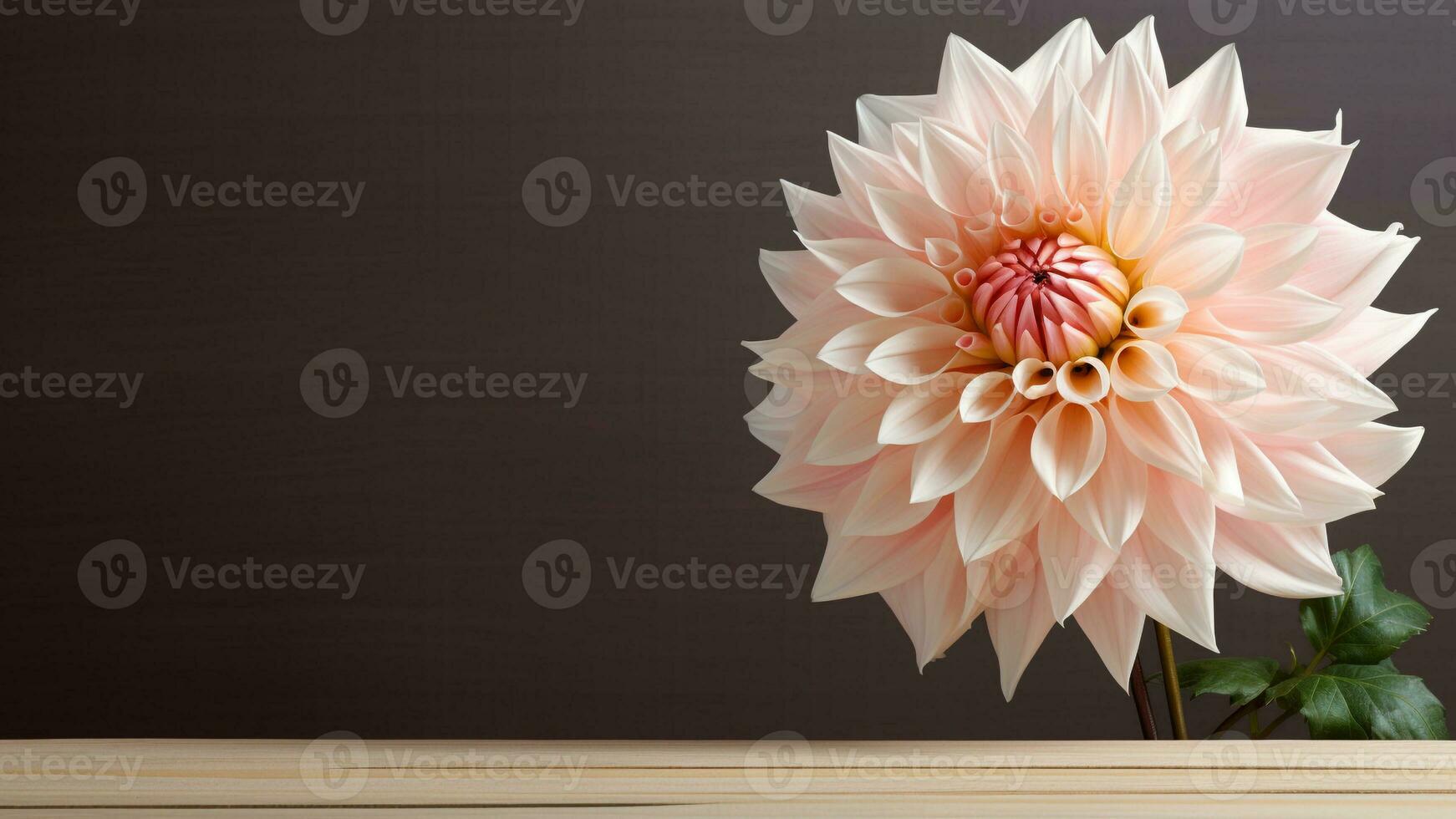 Beautiful Dahlia Flower on Wood Background with Copy Space, AI Generative photo