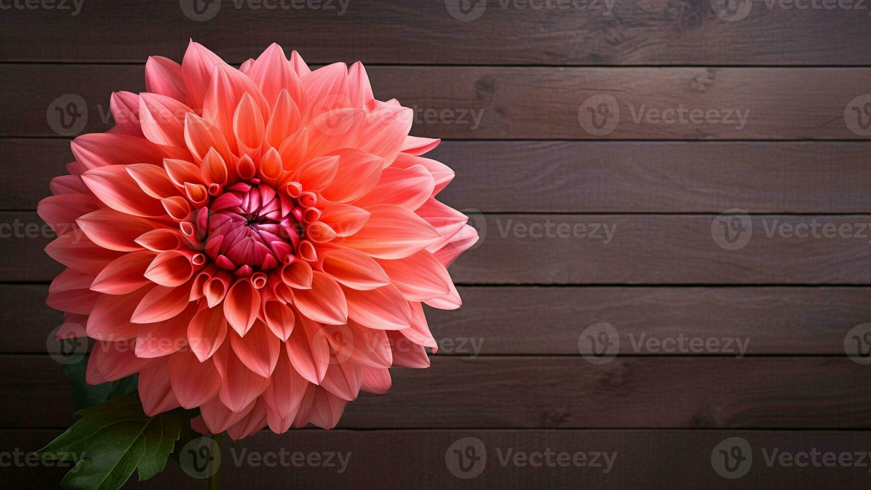hermosa dalia flor en madera antecedentes con Copiar espacio, ai generativo foto