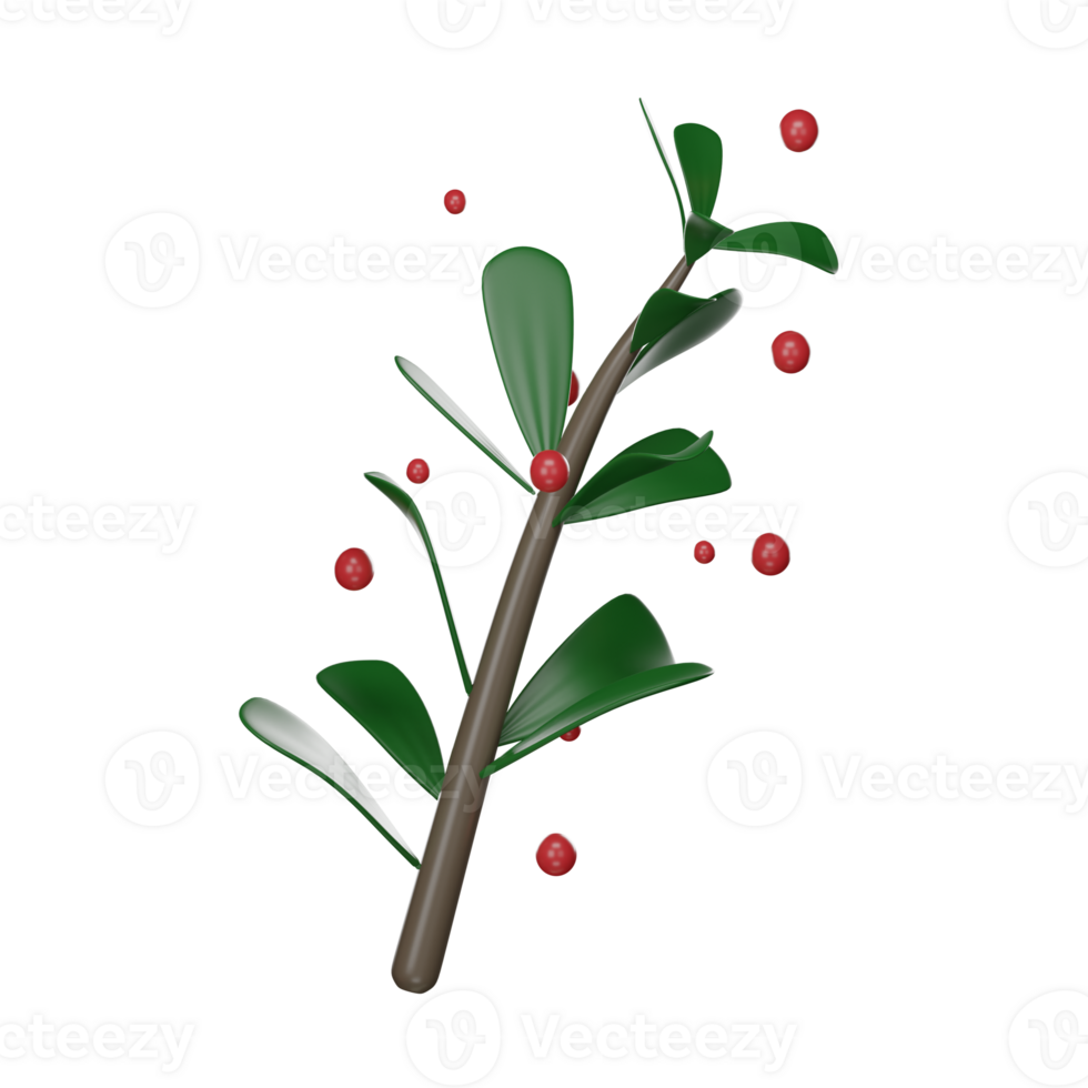 Merry Christmas on branch,decorate icon in cartoon illustration isolated on transparent background PNG 3d rendering.