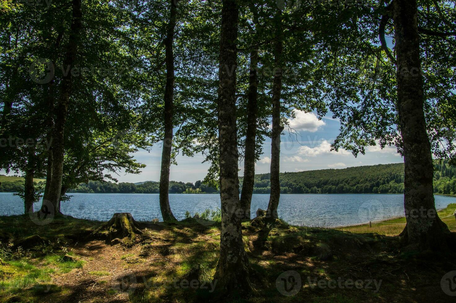 park naturel regional des volcans d'auvergne photo