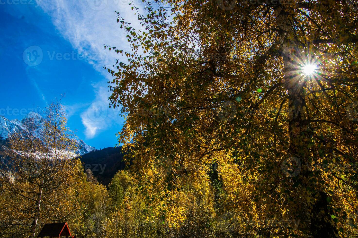 landscape of the french alps in autumn photo