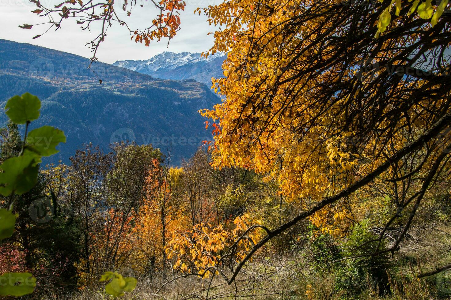 swiss alps landscape in autumn photo
