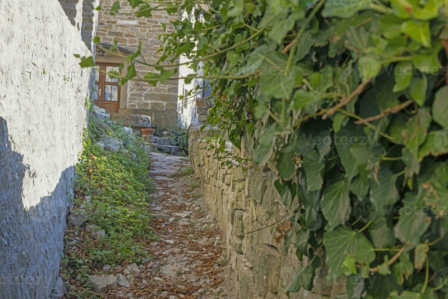 Picture from the town of Groznjan with idyllic cobbled streets and buildings made of natural stone photo