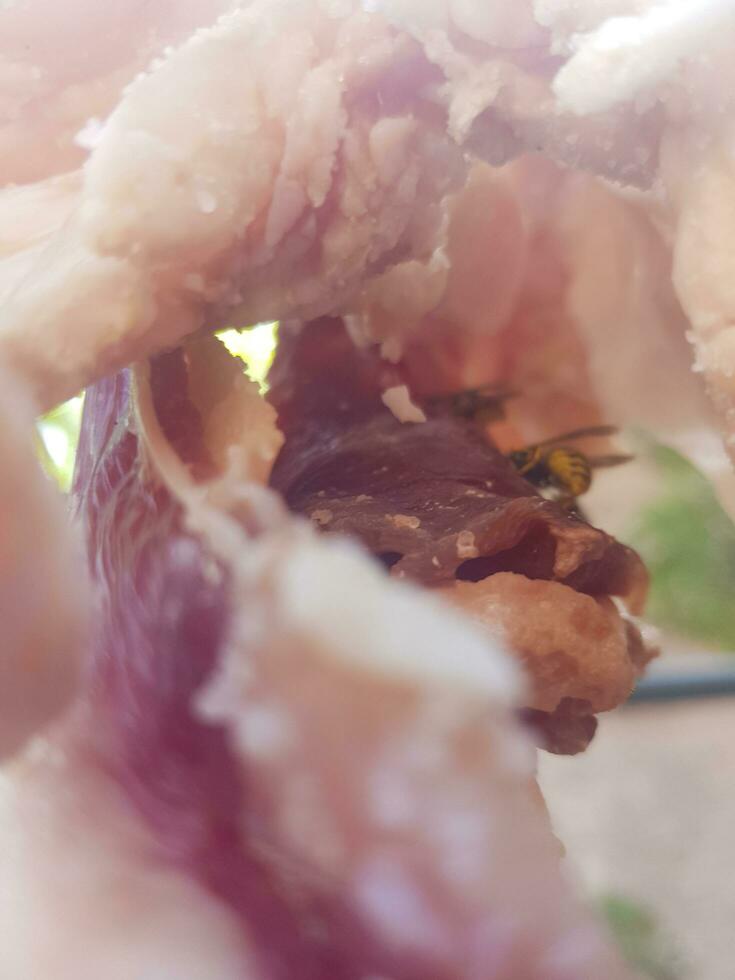 Close-up of dried meat suspended naturally on a rope photo