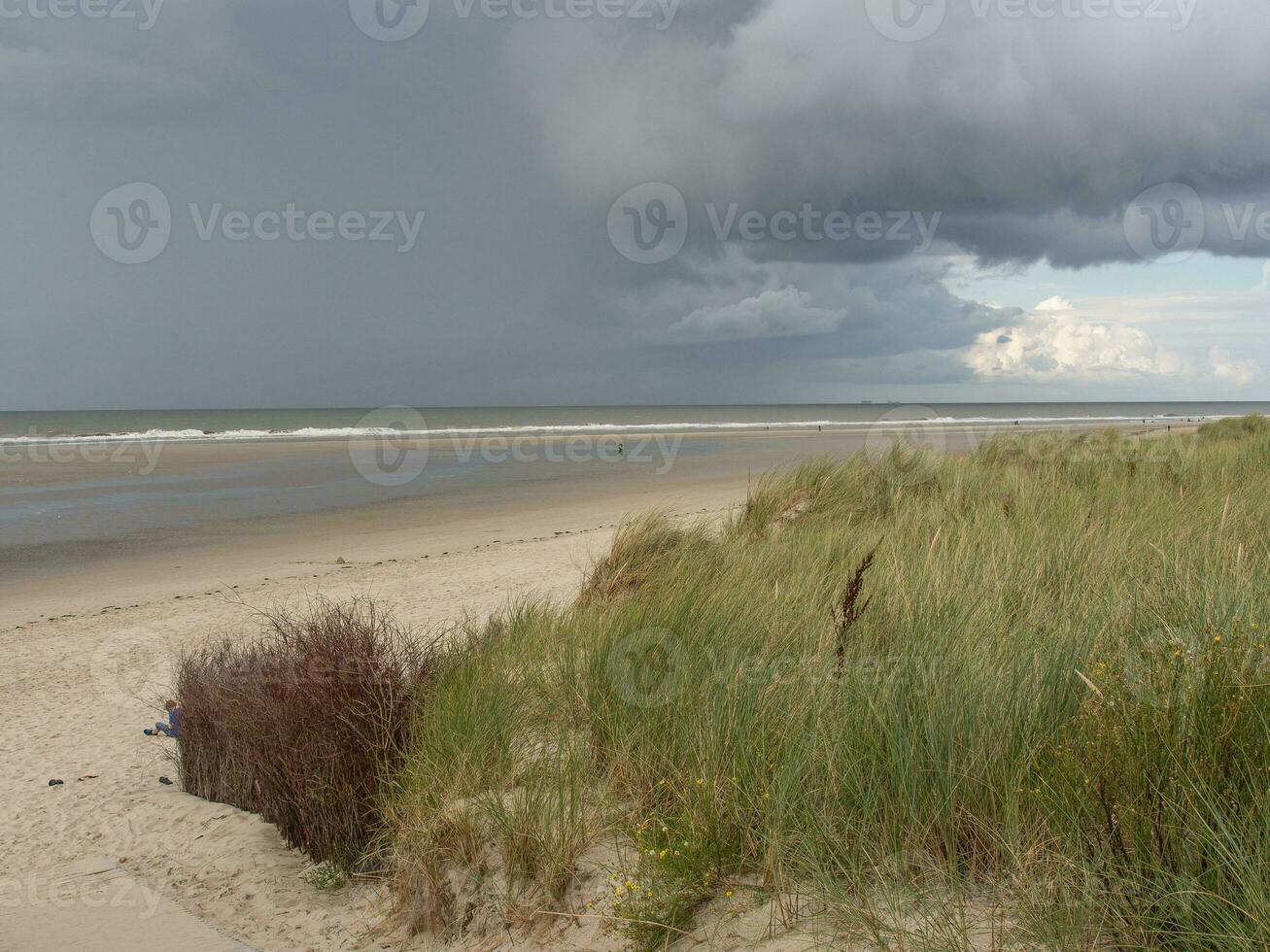 la isla de spiekeroog foto