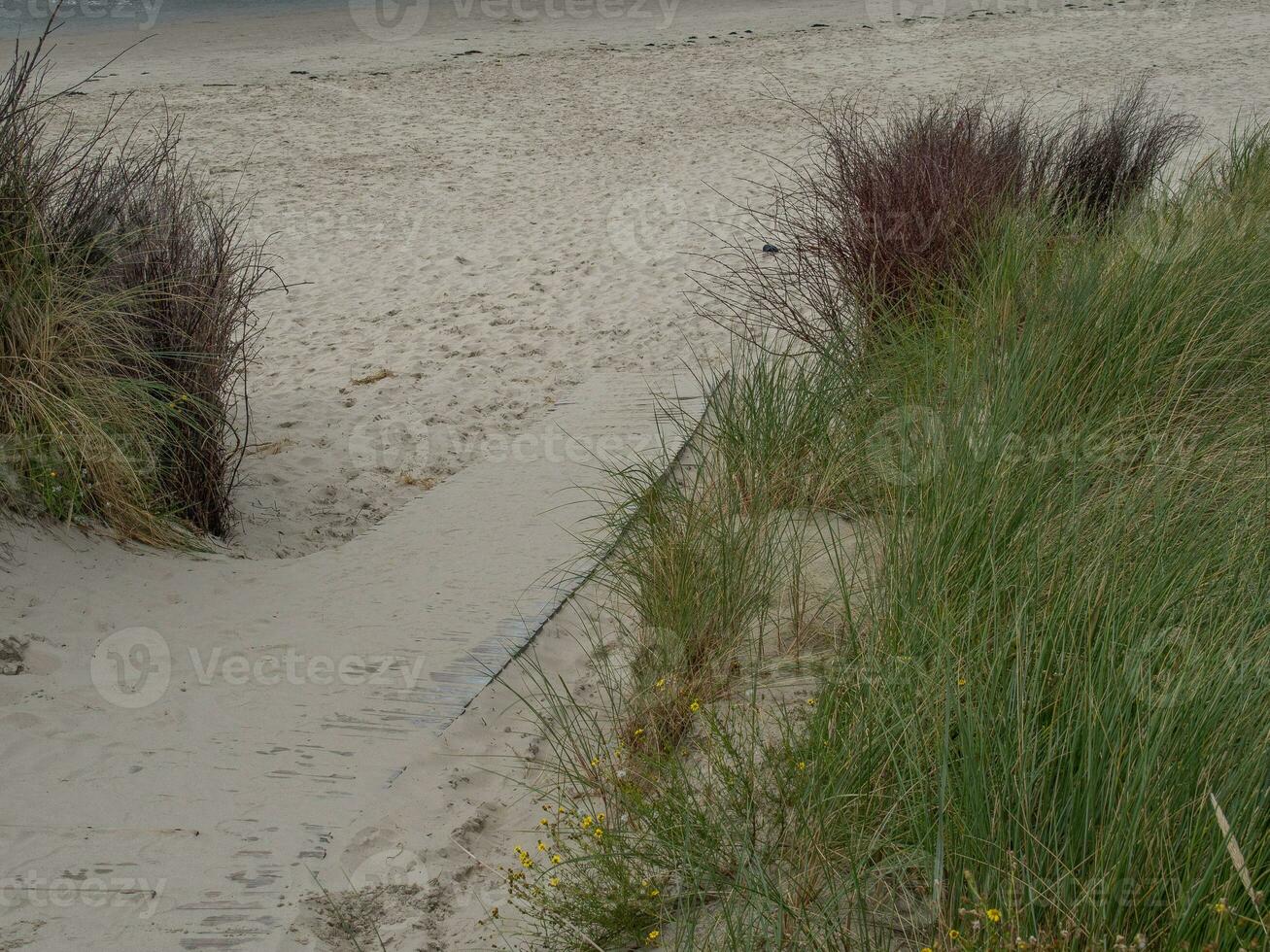 the island of Spiekeroog photo