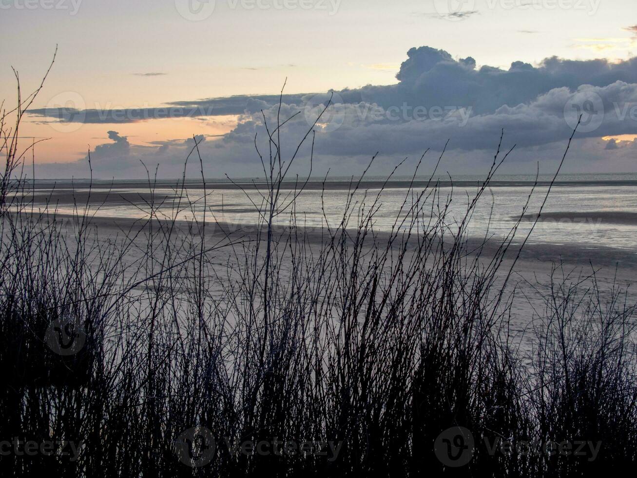 la isla de spiekeroog foto