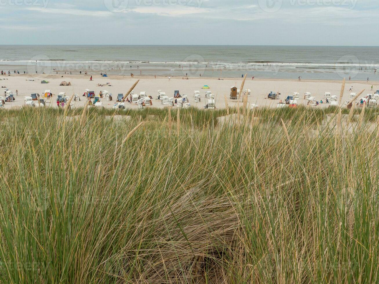 spiekeroog island in germany photo