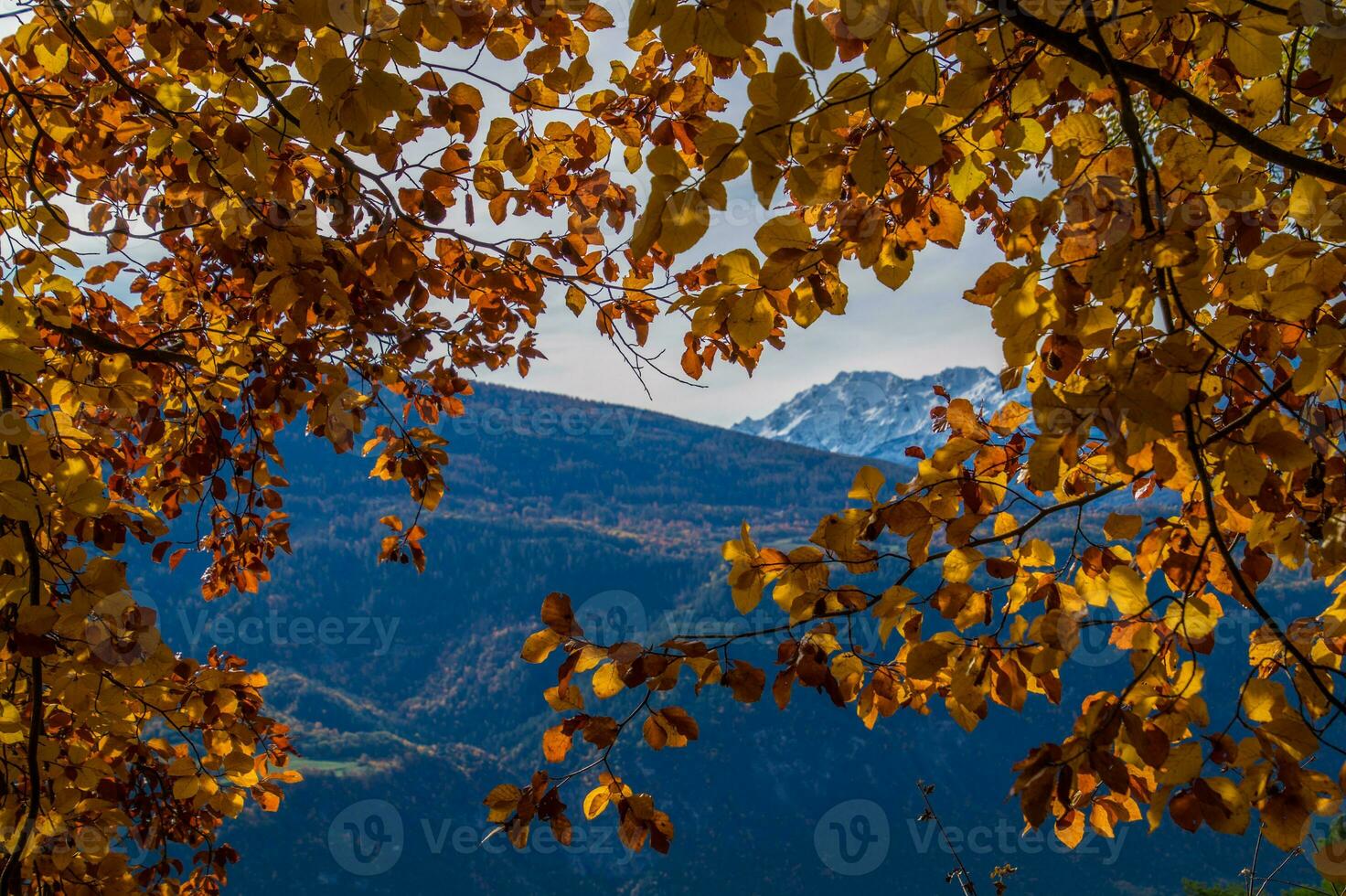 suizo Alpes paisaje en otoño foto