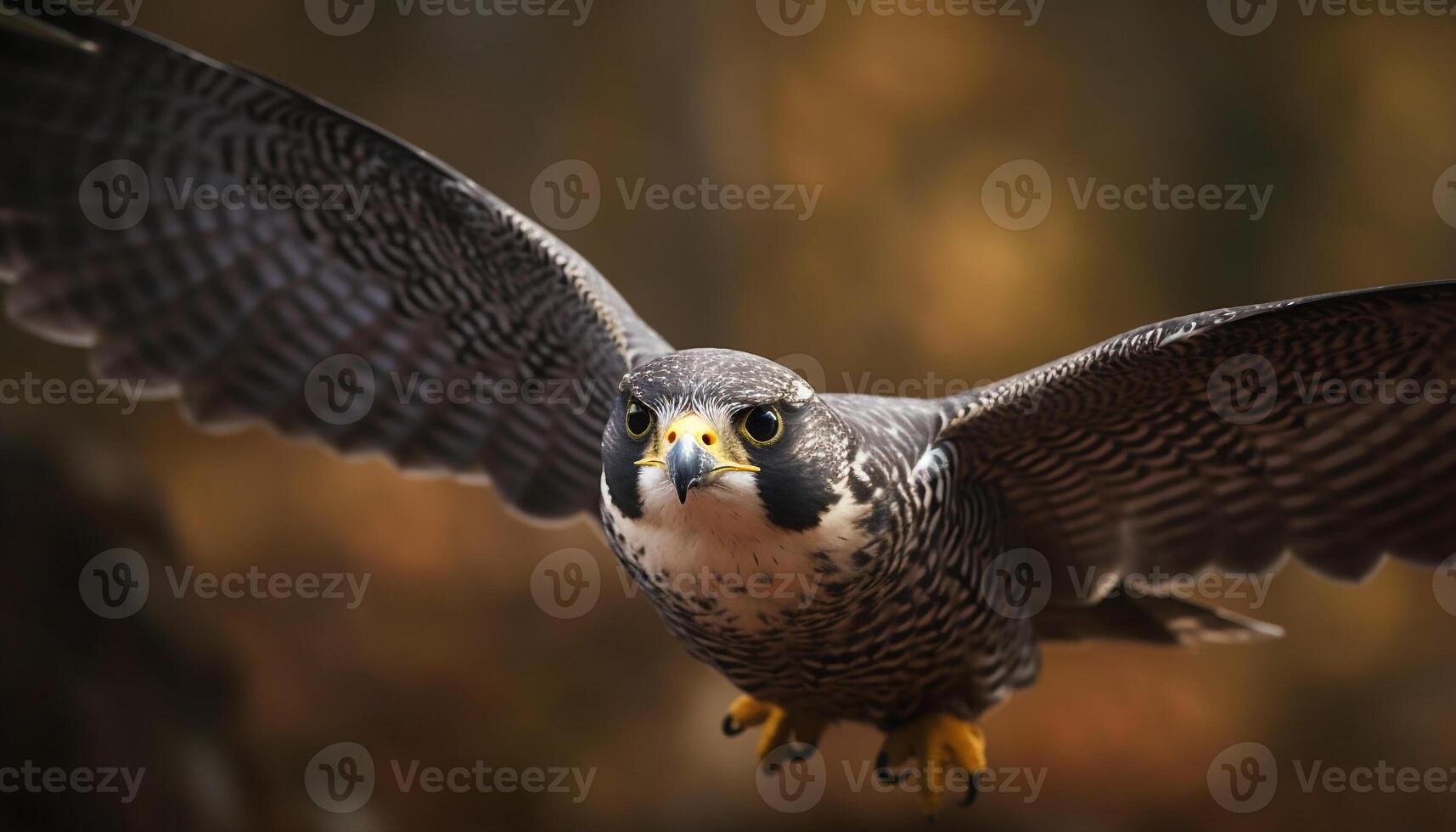 Bird of prey soaring in nature, fierce hunter in flight generated by AI photo