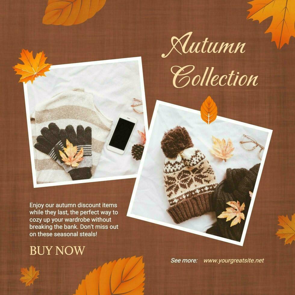 Brown Autumn Accessories Collection Instagram Post template