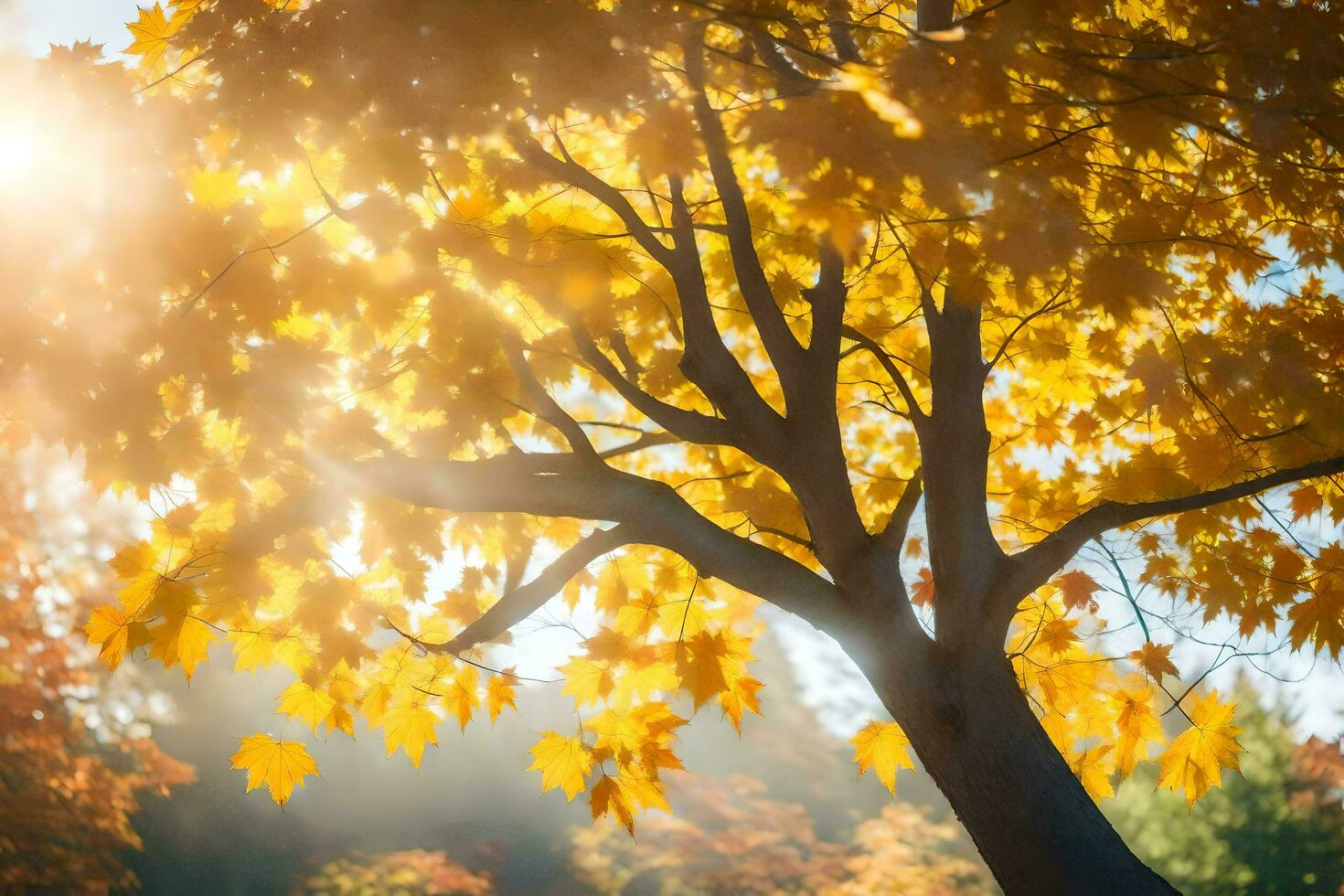 the sun shines through the leaves of a tree. AI-Generated photo