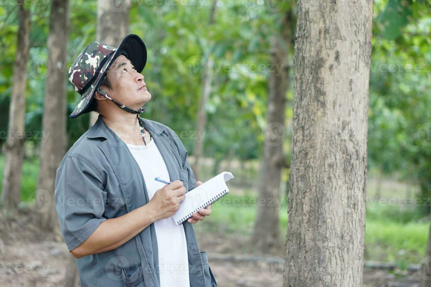 Asian man botanist is inspecting trunk of tree in forest to analysis and research about growth of tree. Concept, forest valuation. Conservation of environment. Survey botanical plants. photo