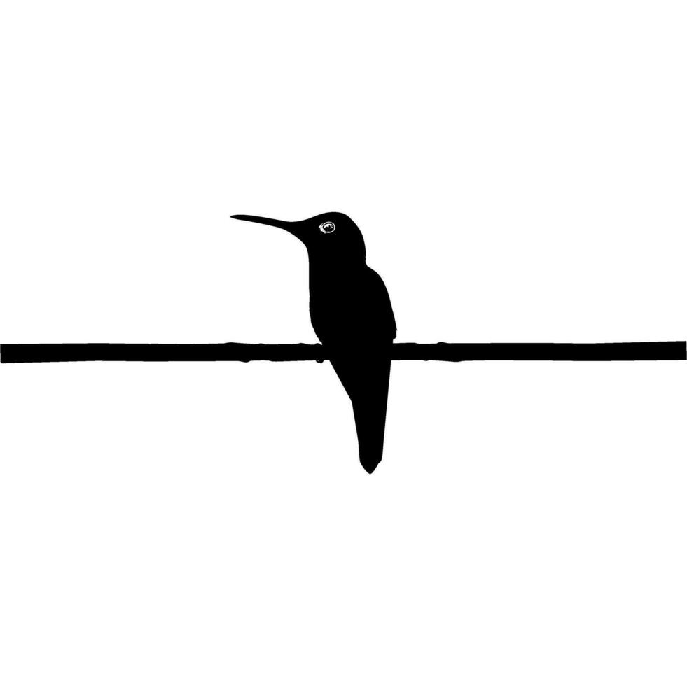 Perched Hummingbird Silhouette, can use Art Illustration, Website, Logo Gram, Pictogram or Graphic Design Element. Vector Illustration