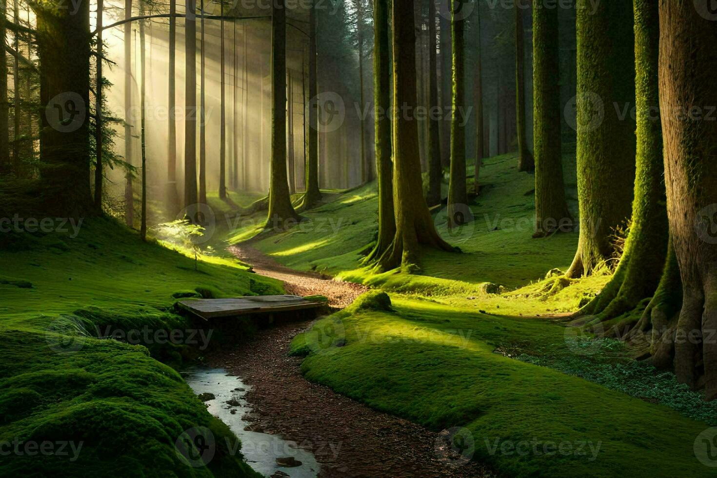 a path through a forest with sunlight shining through the trees. AI-Generated photo