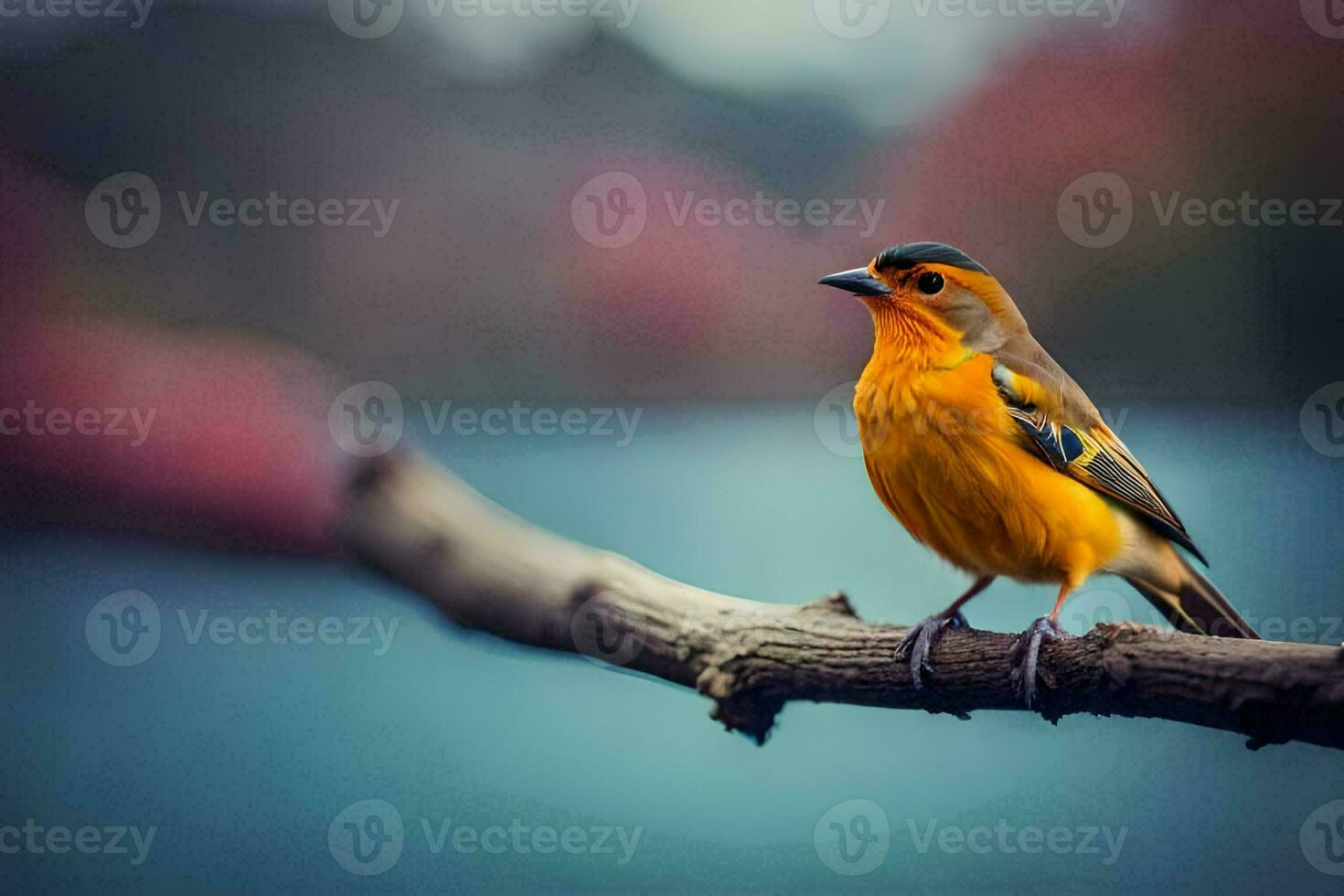 a small orange bird sitting on a branch. AI-Generated photo