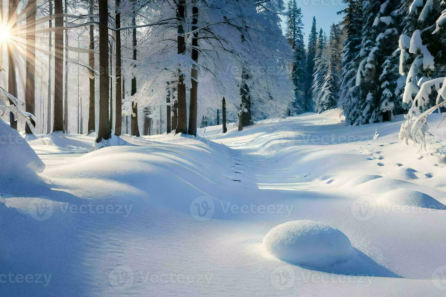 snow covered trees and a path in the snow. AI-Generated photo