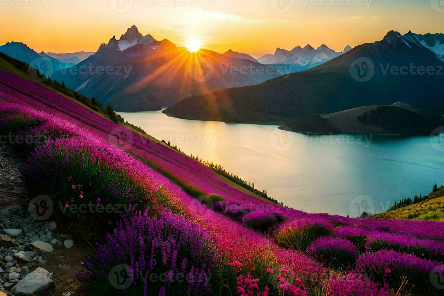 the sun rises over lavender fields in the mountains. AI-Generated photo