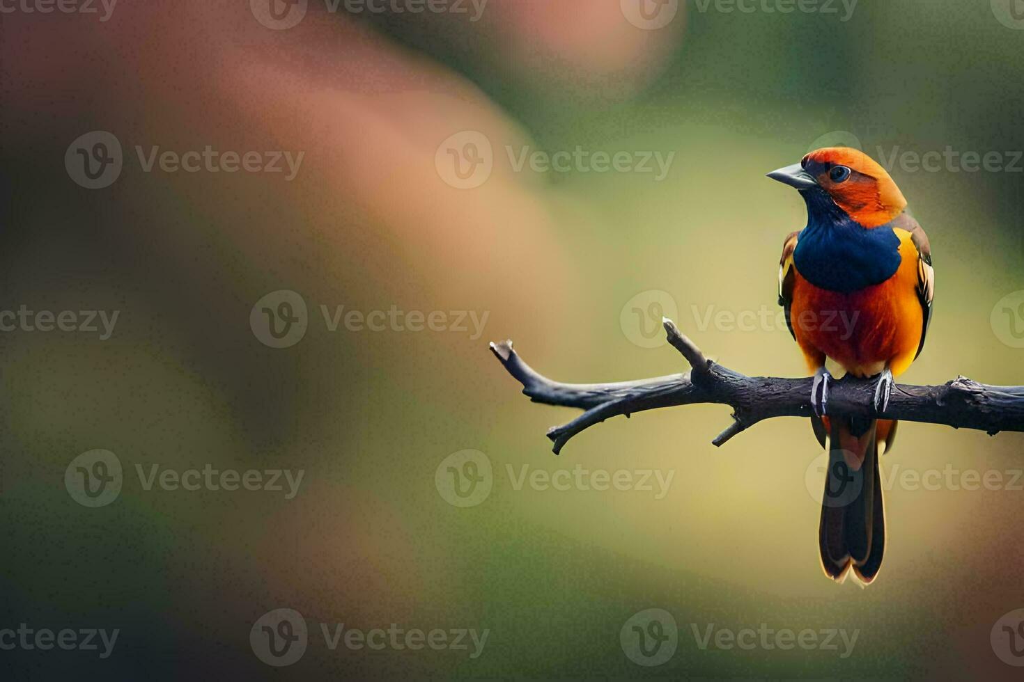 a colorful bird sits on a branch. AI-Generated photo