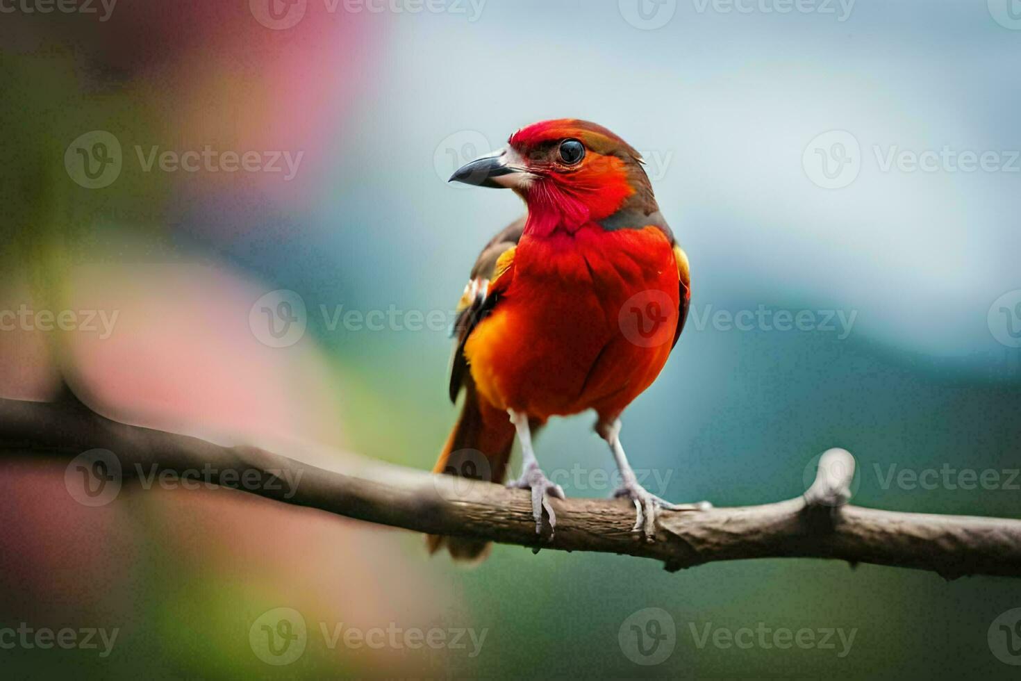 a red bird sitting on a branch. AI-Generated photo