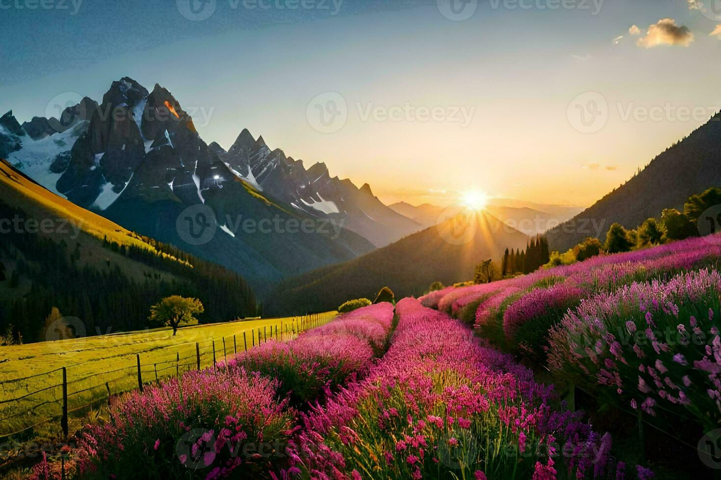 the sun rises over lavender fields in the mountains. AI-Generated photo