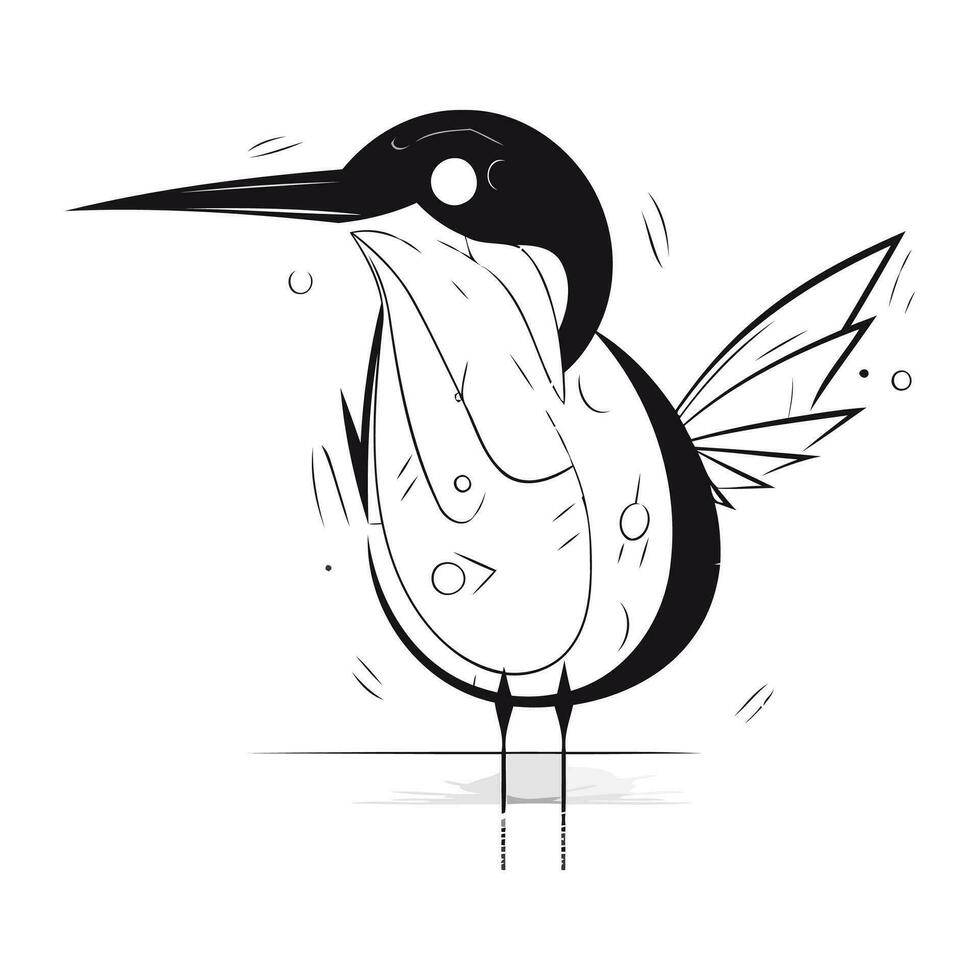 Vector illustration of a black and white bird on a white background.