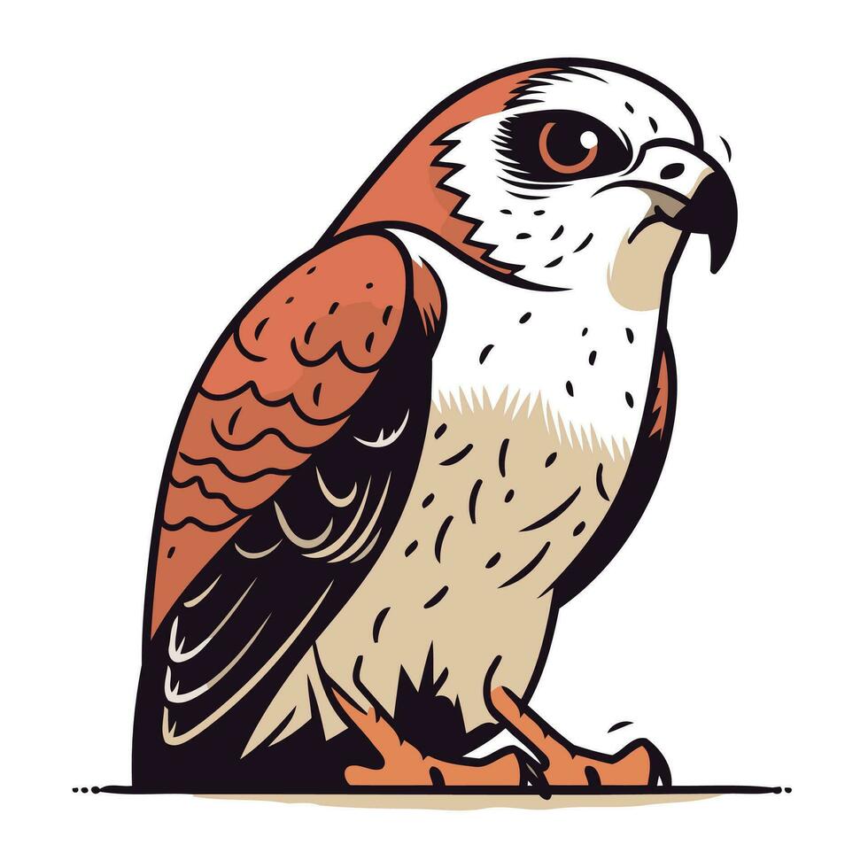 águila. pájaro de presa. vector ilustración en blanco antecedentes.