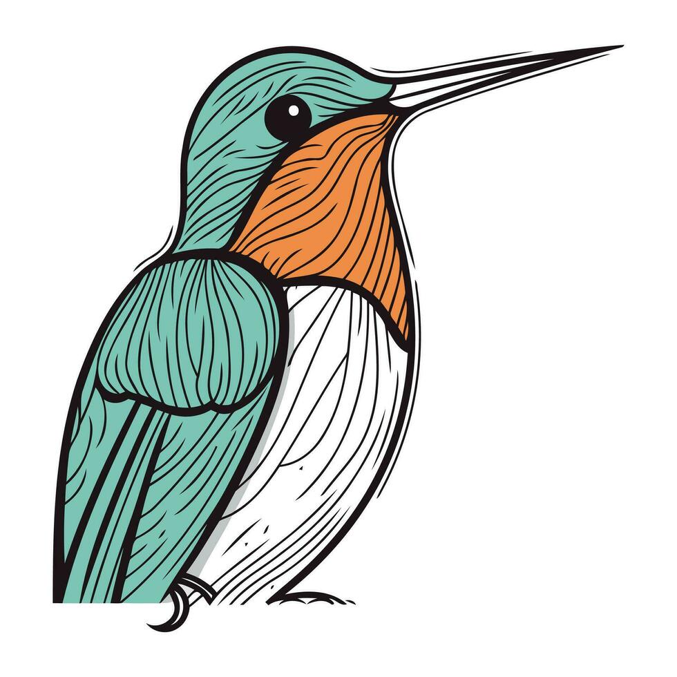 Kingfisher bird. Hand drawn vector illustration in sketch style.