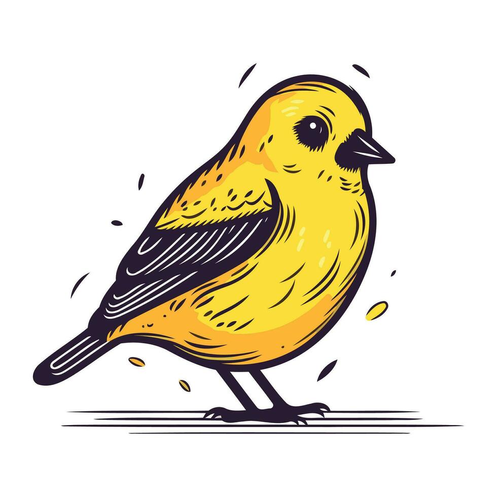 American Goldfinch. Hand drawn vector illustration isolated on white background.